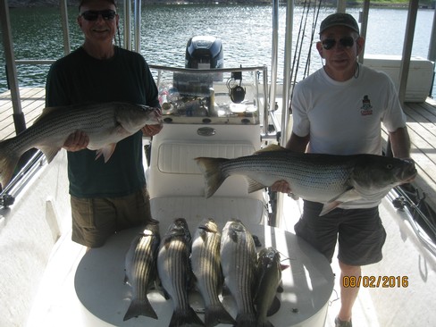 Nice Striped Bass